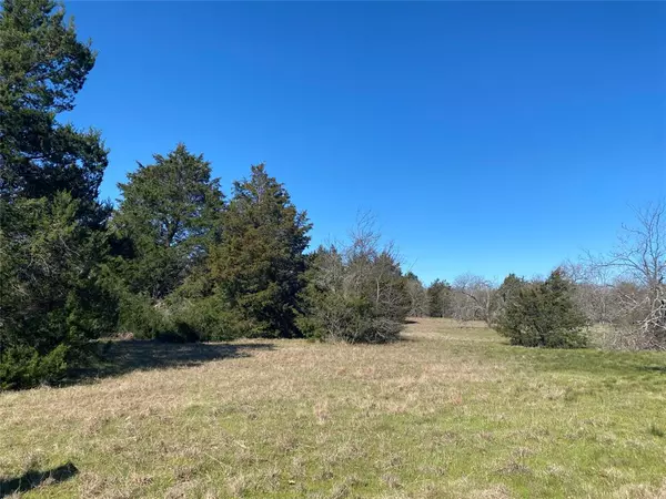 Kerens, TX 75144,Lot 89 Sweetwater Ranch Jackson Circle