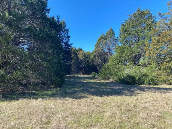 Kerens, TX 75144,Lot 89 Sweetwater Ranch Jackson Circle