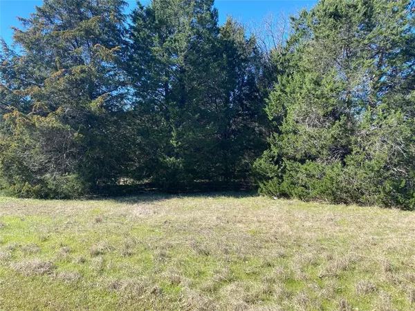 Kerens, TX 75144,Lot 89 Sweetwater Ranch Jackson Circle