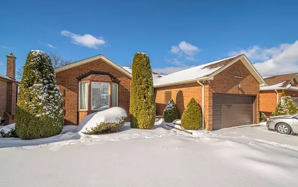 8 Hialeah CRES, Whitby, ON L1N 6R1