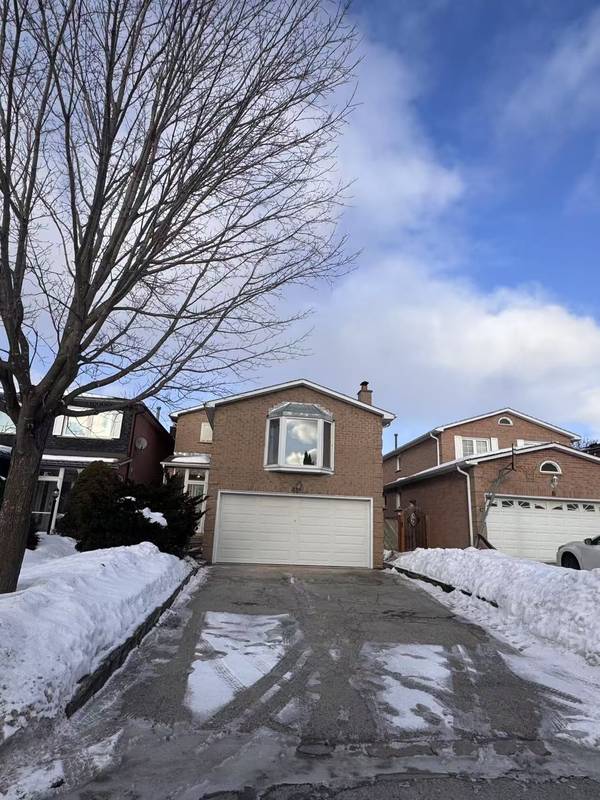 4 Burwell CRES #Main, Markham, ON L3P 6T6