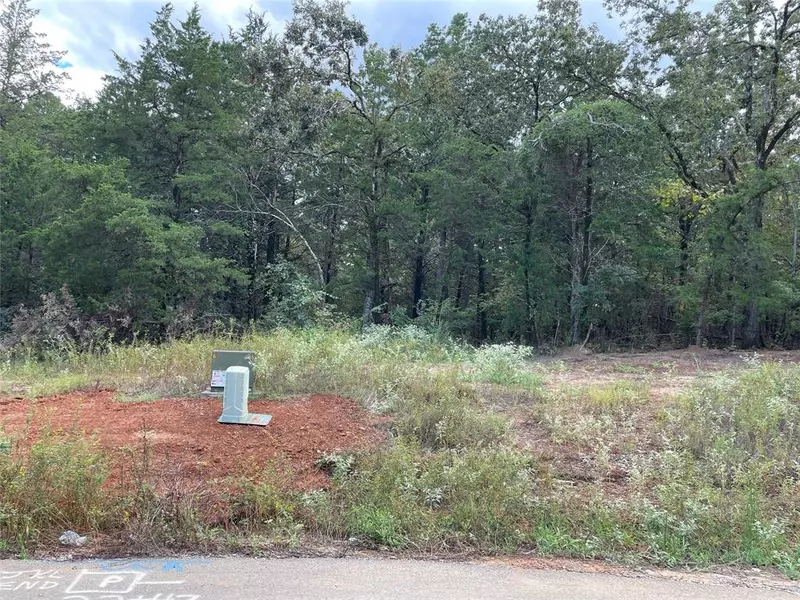 Lot 22 TBD Cedarpark Place, Lindale, TX 75771