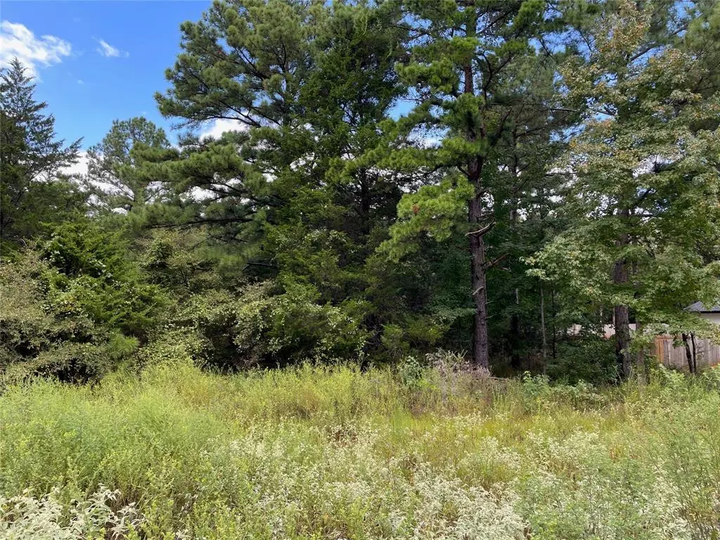 Lindale, TX 75771,Lot 16 TBD Cedarpark Place