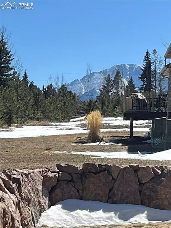 Woodland Park, CO 80863,1235 Cottontail TRL