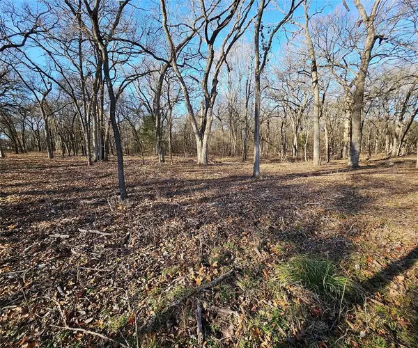 Alvord, TX 76225,Lot 221 Banjo Court