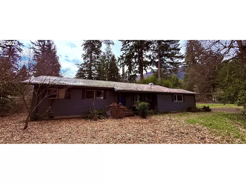 101 BROOKS RD, Carson, WA 98610