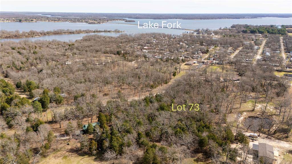 Emory, TX 75440,Lot 73 Rs County Road 3376