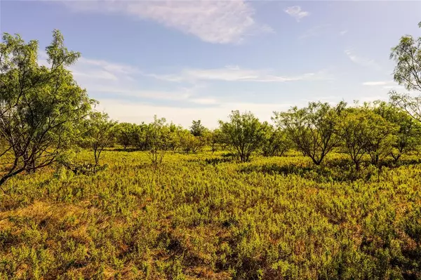 Jacksboro, TX 76458,91.55 Acres Hammon Lane