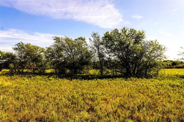 Jacksboro, TX 76458,91.55 Acres Hammon Lane