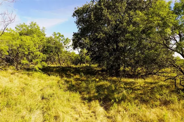 Jacksboro, TX 76458,91.55 Acres Hammon Lane