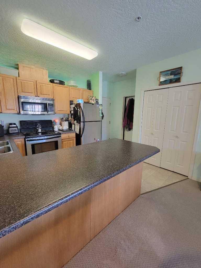 Peace River, AB T8S0A1,9810 94 ST #308