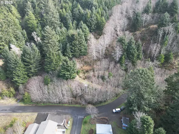 Elk Mountain RD #3900, Yachats, OR 97498