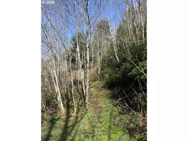 Yachats, OR 97498,Elk Mountain RD #3900