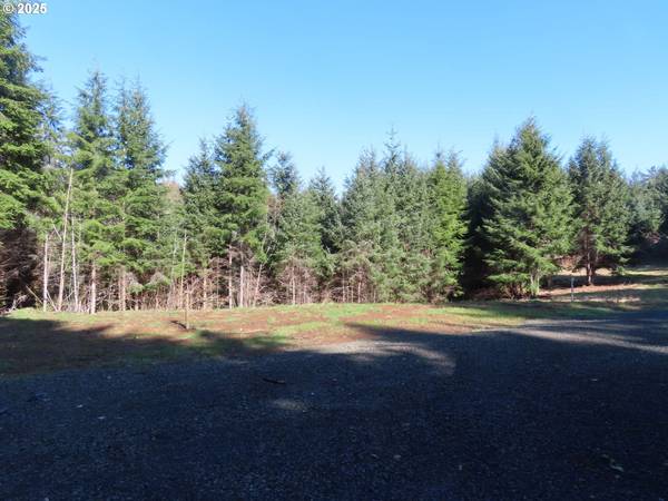 South Bend, WA 98586,80 WILSON LN