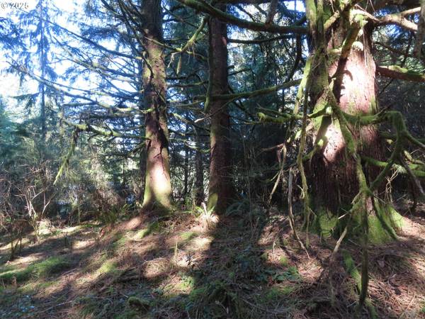 South Bend, WA 98586,80 WILSON LN