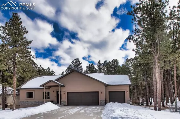 1323 Firestone DR, Woodland Park, CO 80863