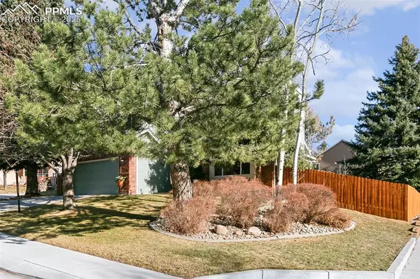 Colorado Springs, CO 80918,4725 Rustler CT