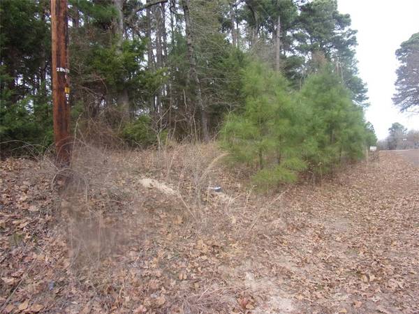 tbd Briar Grove,  Murchison,  TX 75778