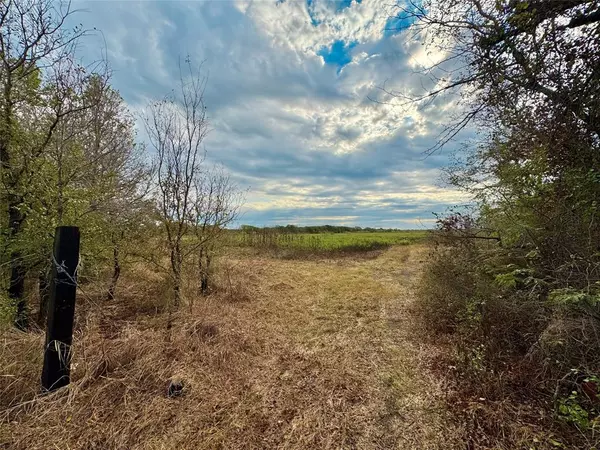 Gholson, TX 76705,1650 Clater Powell Road #Lot 3