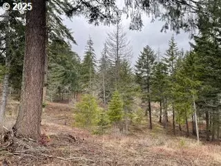 White Salmon, WA 98672,KIDA RD ##2