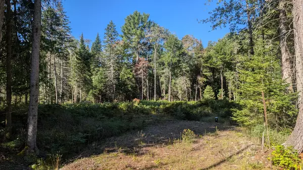 Lot 18 Crimson LN, Huntsville, ON P0B 1L0