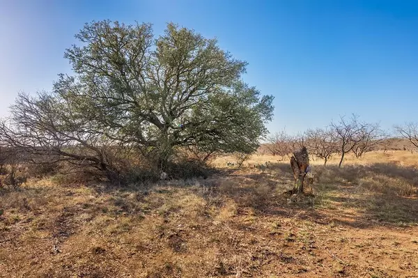 Brady, TX 76825,0000 CR 122