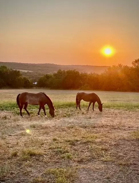 Stephenville, TX 76401,585 Lookout Point