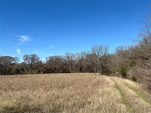 Blooming Grove, TX 76626,TBD NW County Road 4010