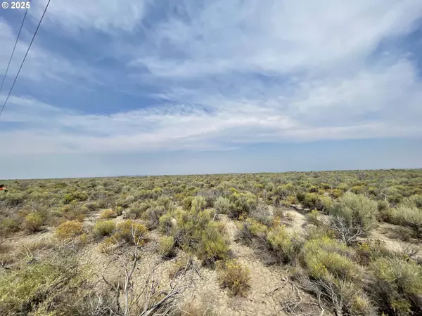 Fossil Lake RD #TL 1100, Christmas Valley, OR 97641