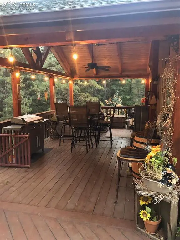 157 Rudy DR, Woodland Park, CO 80863