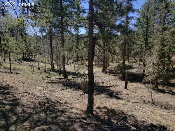 69 Lake CIR, Divide, CO 80814