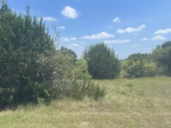 39333 Cedar Trail, Whitney, TX 76692