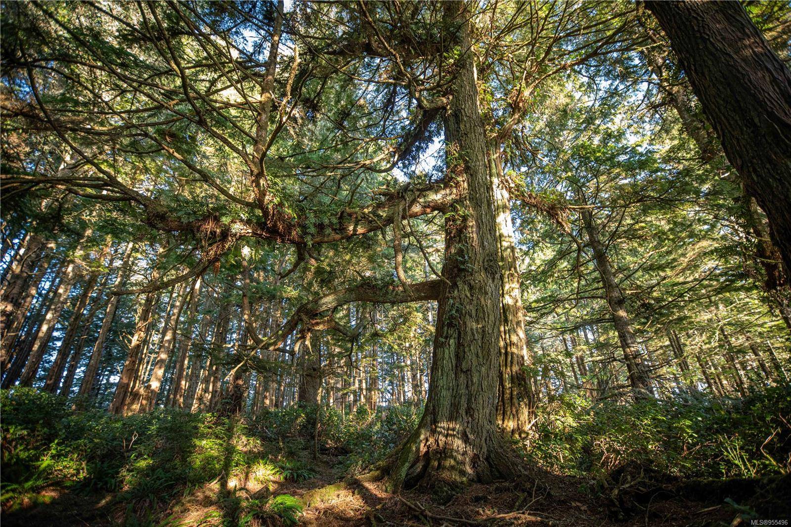 0 Francis Island, Ucluelet, BC V0R 3A0