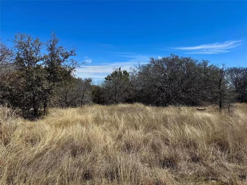 TBD Beacon Lake Drive, Bluff Dale, TX 76433