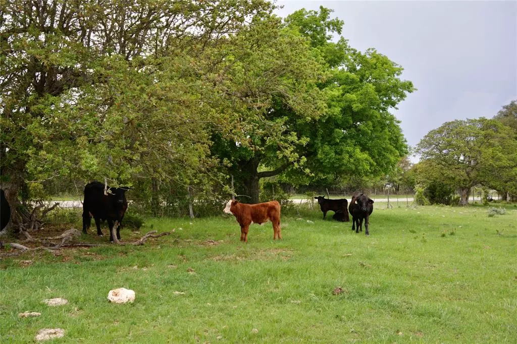 Goldthwaite, TX 76844,621 Farm Market 572