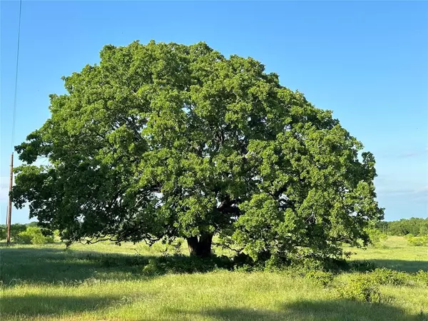 Chico, TX 76431,TBD County Road 1895