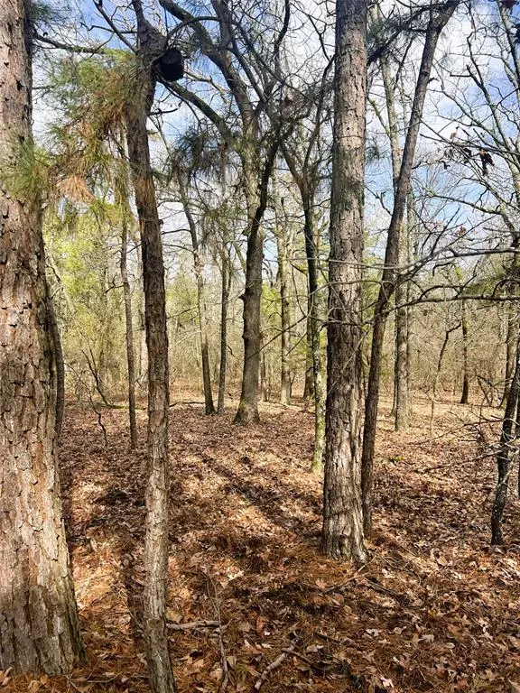 000 Private Road 8000, Winnsboro, TX 75494