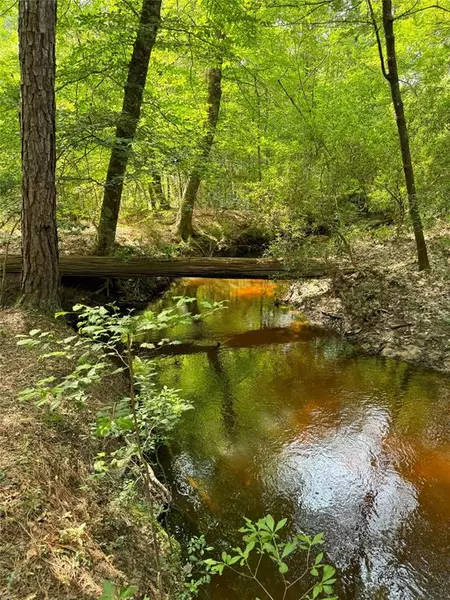 TBD COUNTY ROAD 2107, Burkeville, TX 75932