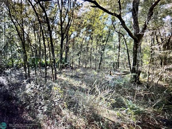 0 NE 8th St,  Williston,  FL 32696