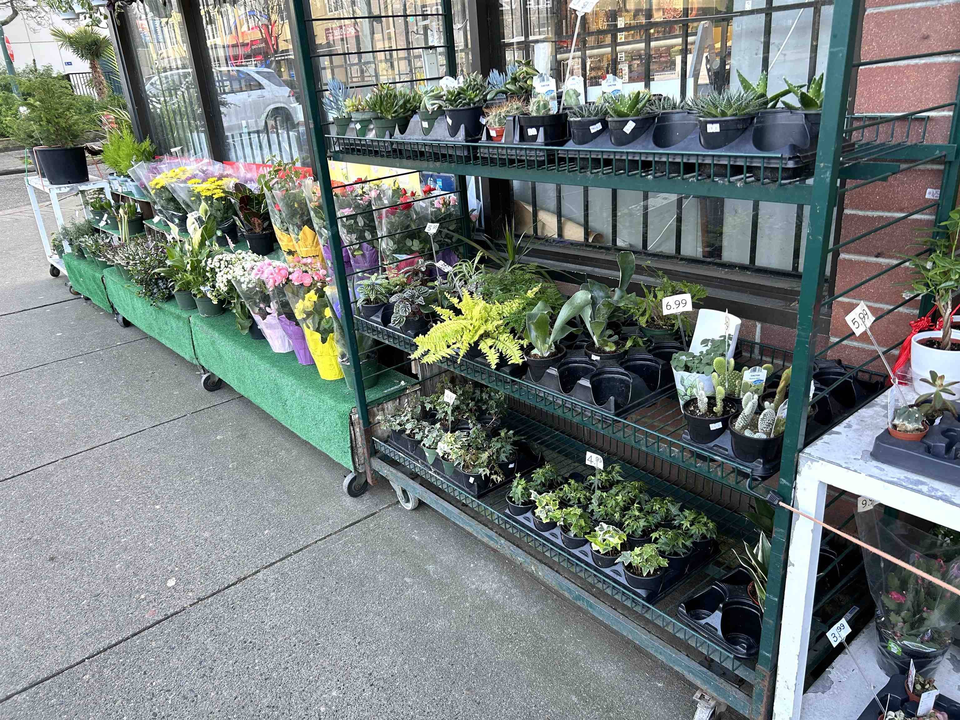 Vancouver, BC V6G 2M1,940 DENMAN STREET