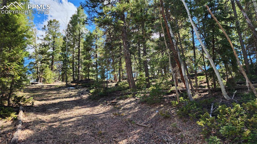 Florissant, CO 80816,178 Gerka LN