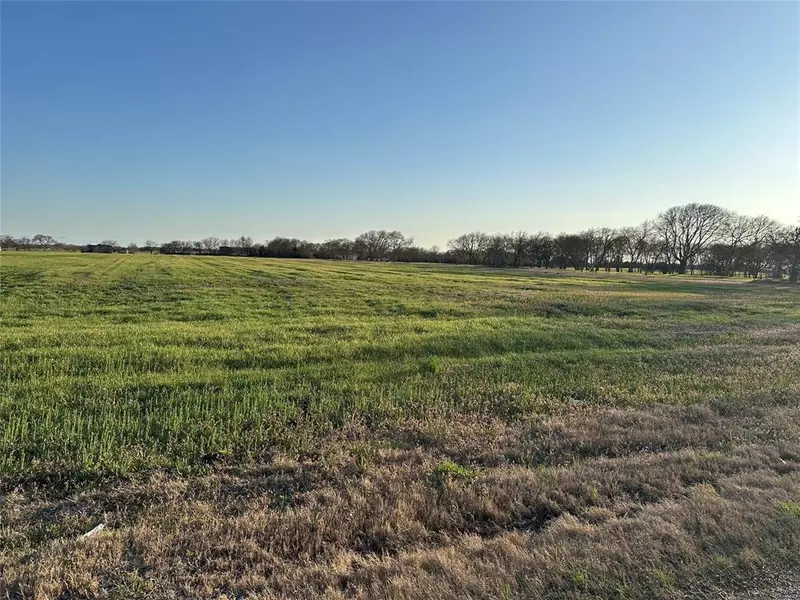 00 McConnell Road, Gunter, TX 75058