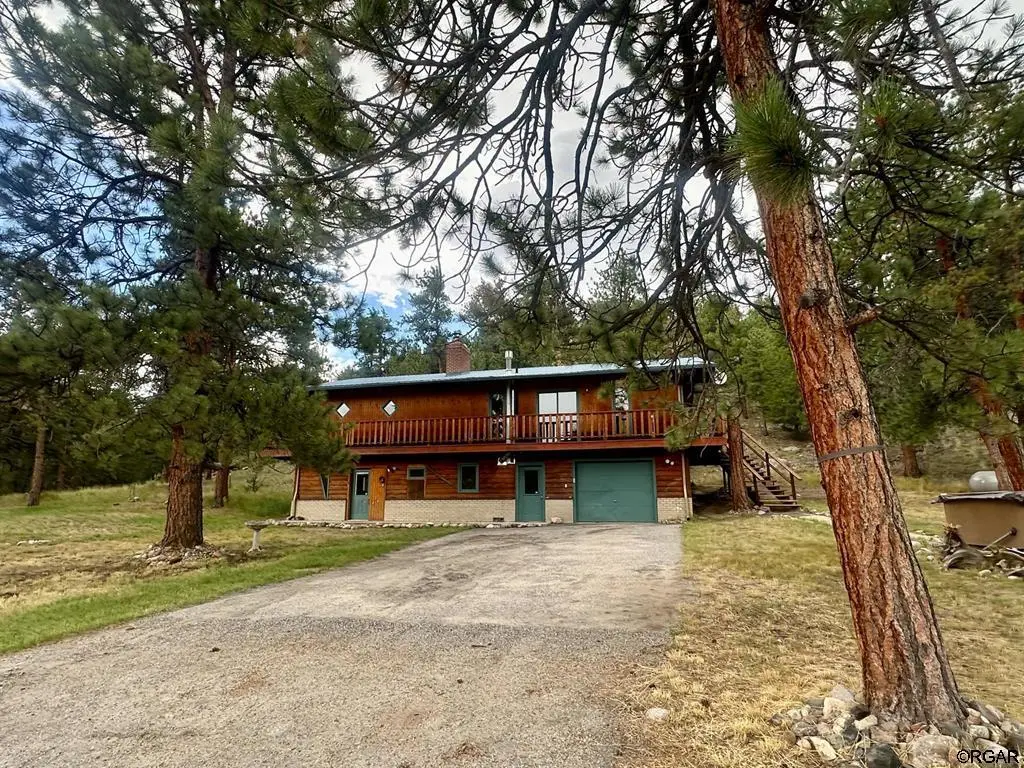 21501 Chalk Creek DR, Nathrop, CO 81236