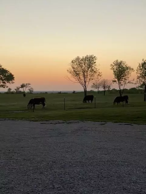 Gunter, TX 75058,000 McConnell Road