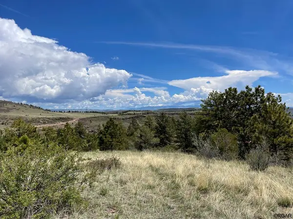 TBD- L17 South T-Bar TRL, Canon City, CO 81212