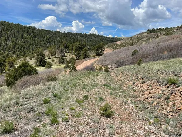 TBD- L17 South T-Bar TRL, Canon City, CO 81212