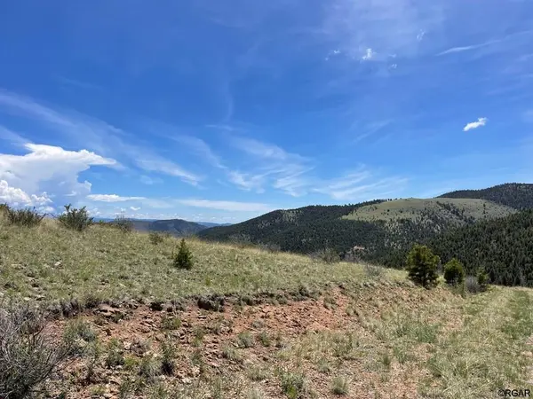 TBD- L17 South T-Bar TRL, Canon City, CO 81212