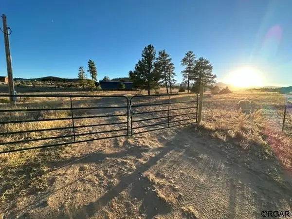 2026 L Path PATH, Cotopaxi, CO 81223