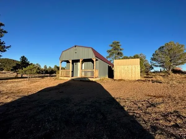 2026 L Path PATH, Cotopaxi, CO 81223