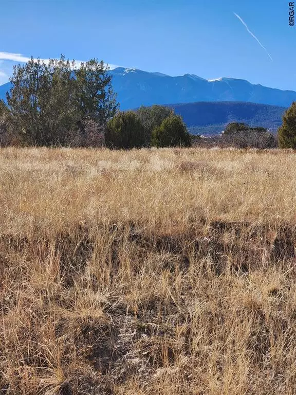 Colorado City, CO 81019,TBD Fairplay PL